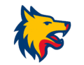 Logo cu cap de lup dacic în culorile tricolorului – simbol România
